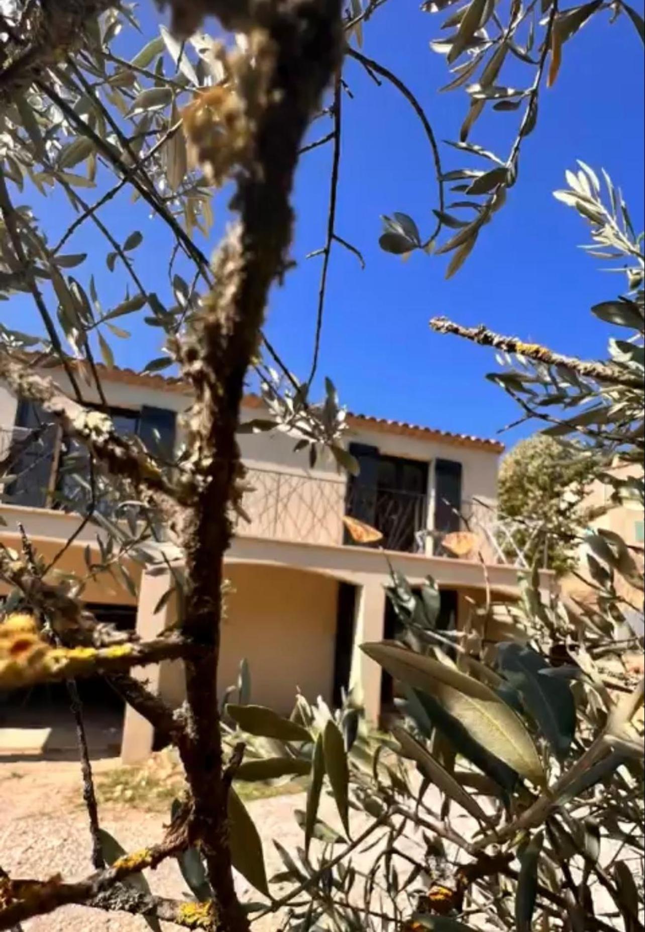 Loft Pied De Coline Au Calme Daire Ginasservis Dış mekan fotoğraf